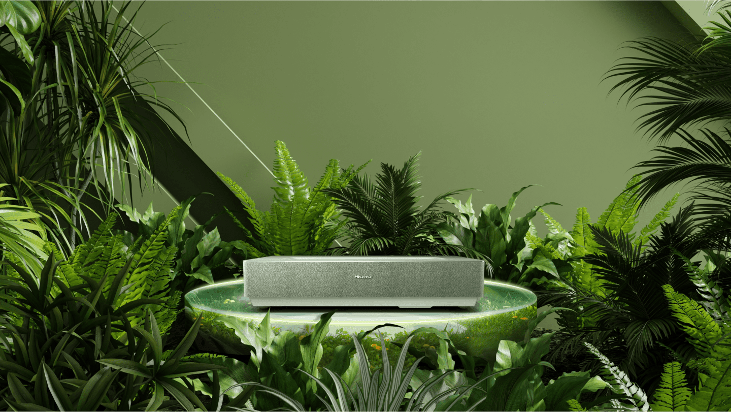 new-image-66aa9f6534c24