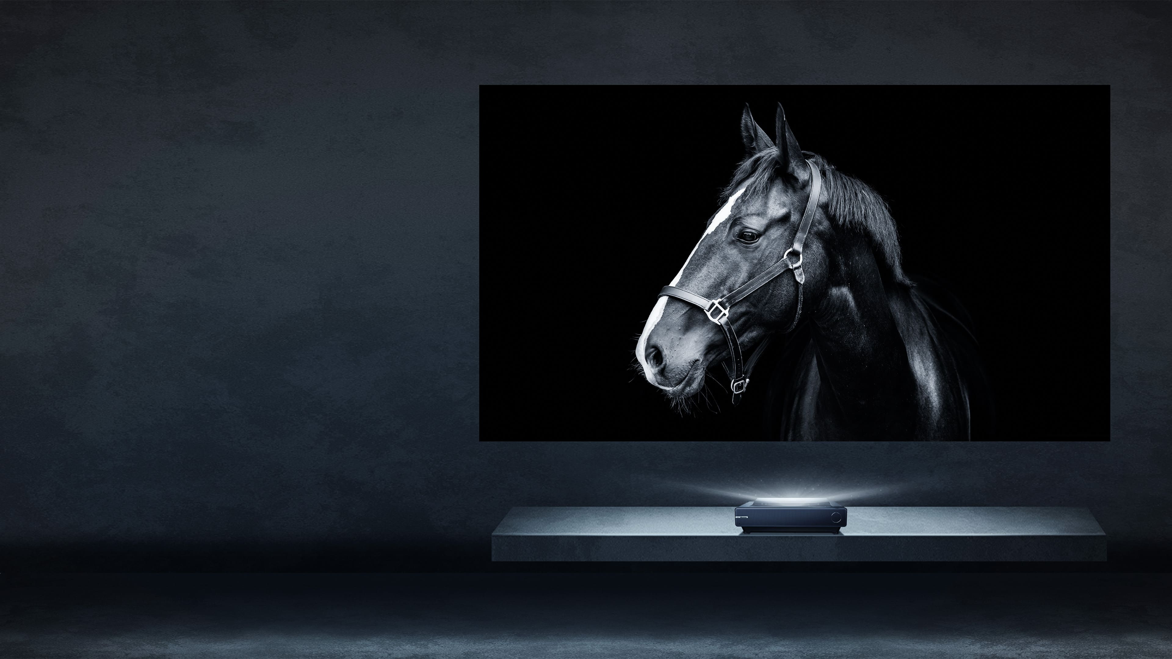 new-bg_image-66aaa1856ff42